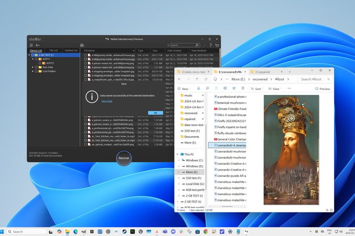 Stellar Data Recovery Premium restored deleted HDD files and even folders.