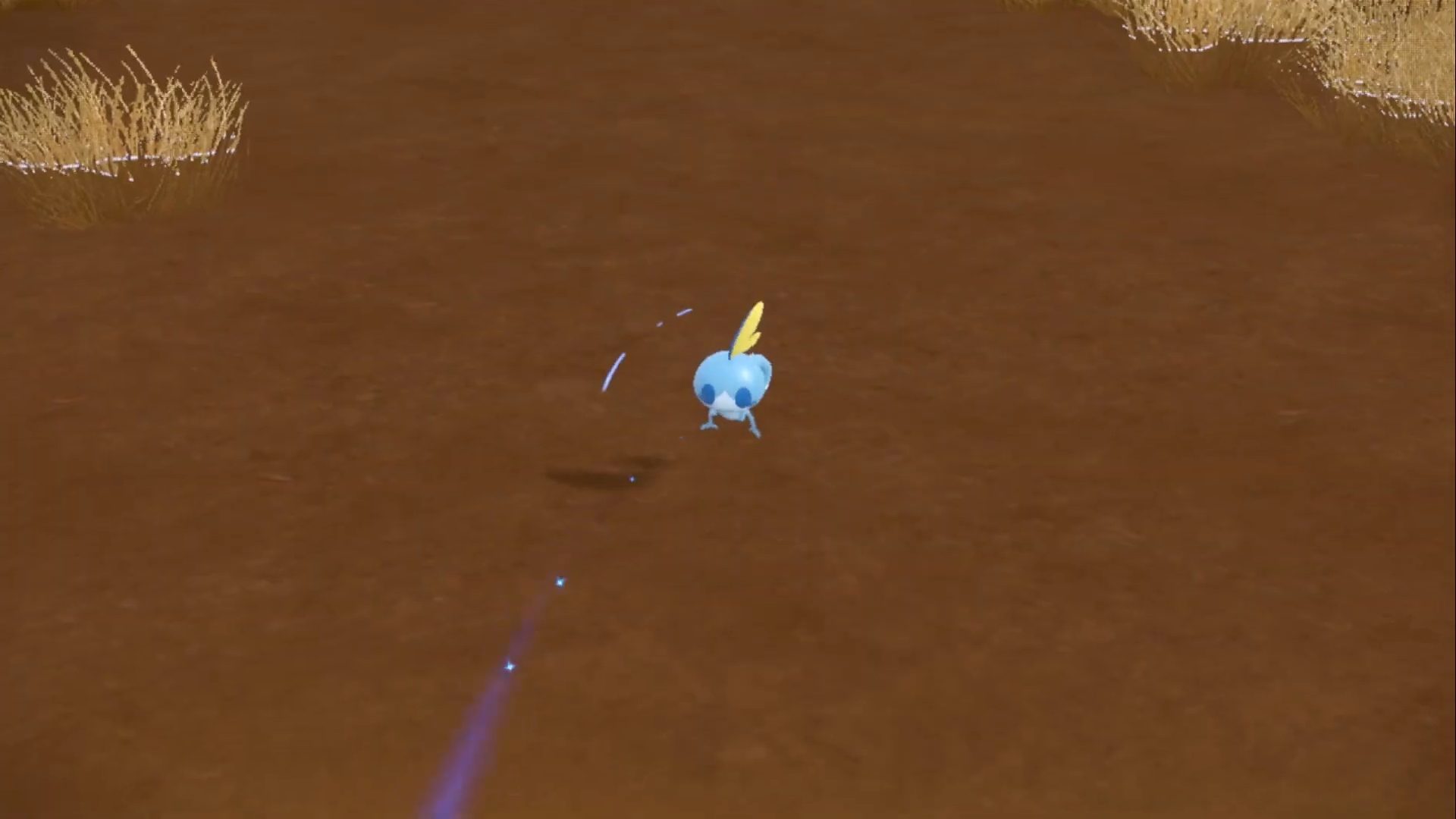 Sobble in the dirt in Pokémon.