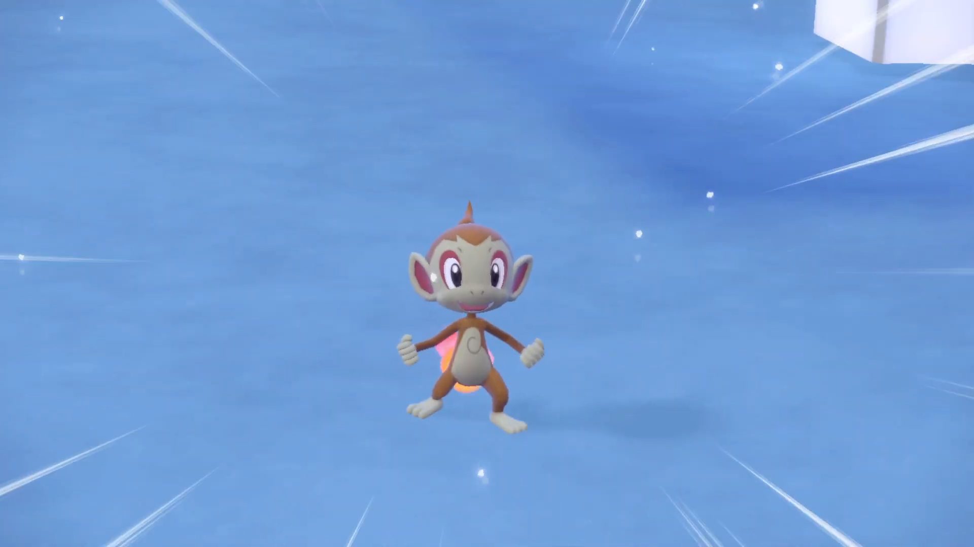Chimchar striking a pose in Pokémon.