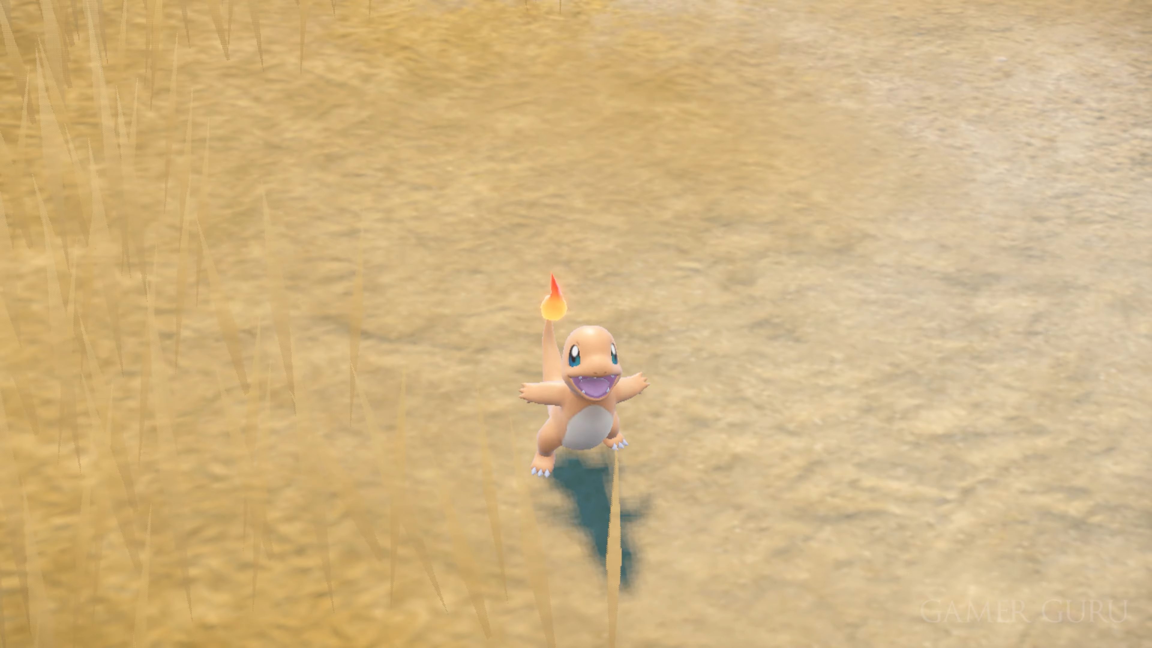 Charmander shouting in a dead field in Pokémon.