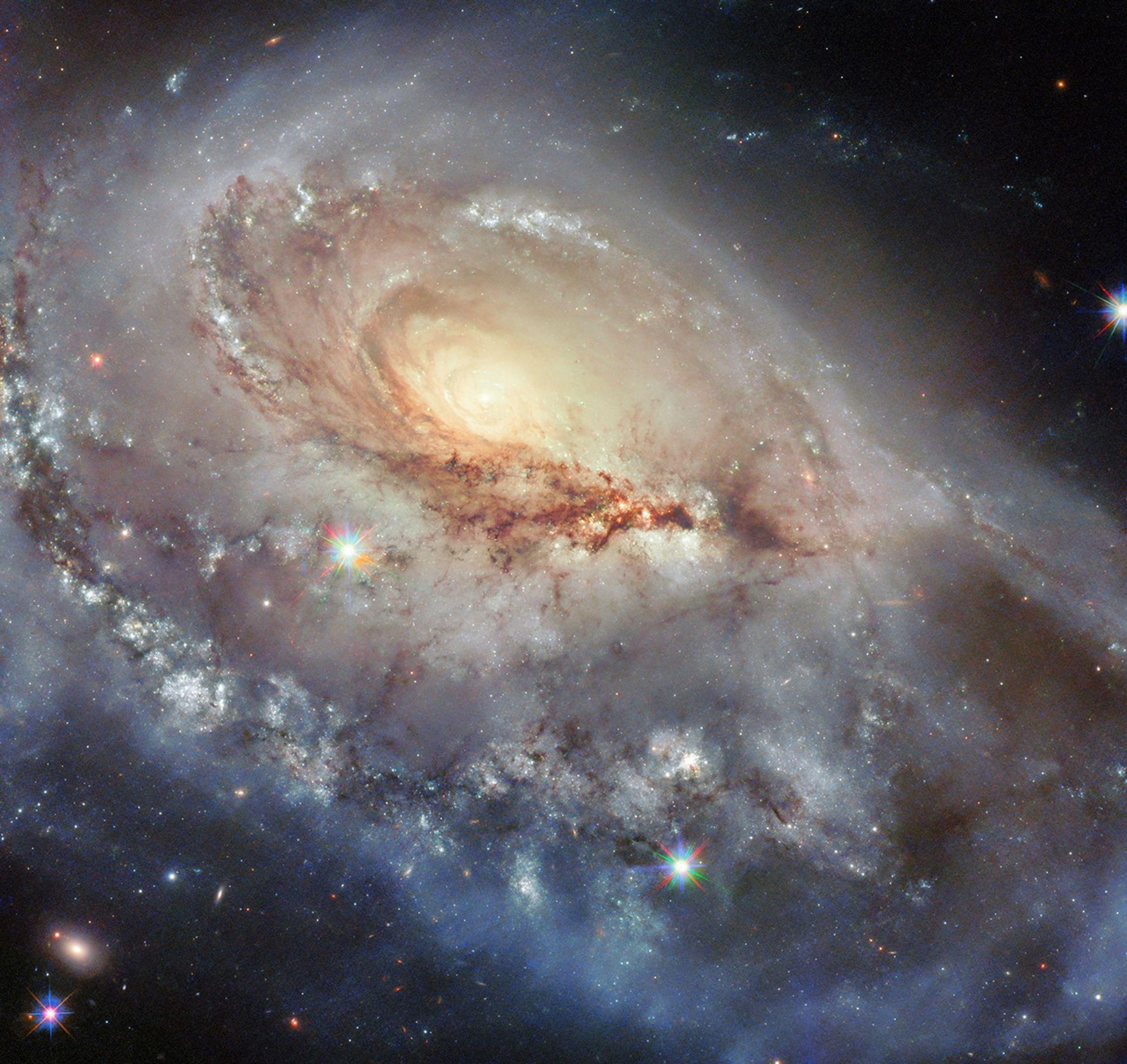 This NASA/ESA Hubble Space Telescope image features a peculiar spiral galaxy called Arp 184 or NGC 1961.