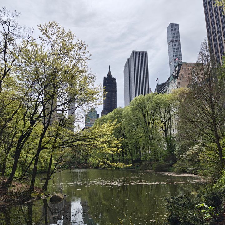 Motorola Razr Ultra 2025 sample photos