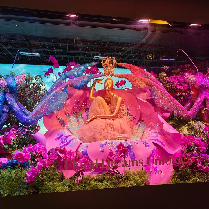 Motorola Razr Ultra 2025 sample photos
