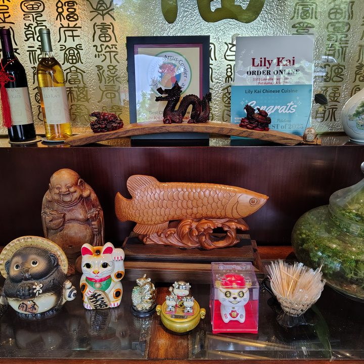 Moto G Stylus 2025 main camera sample