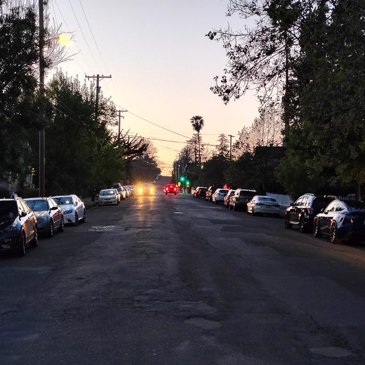 Moto G Stylus 2025 main camera sample