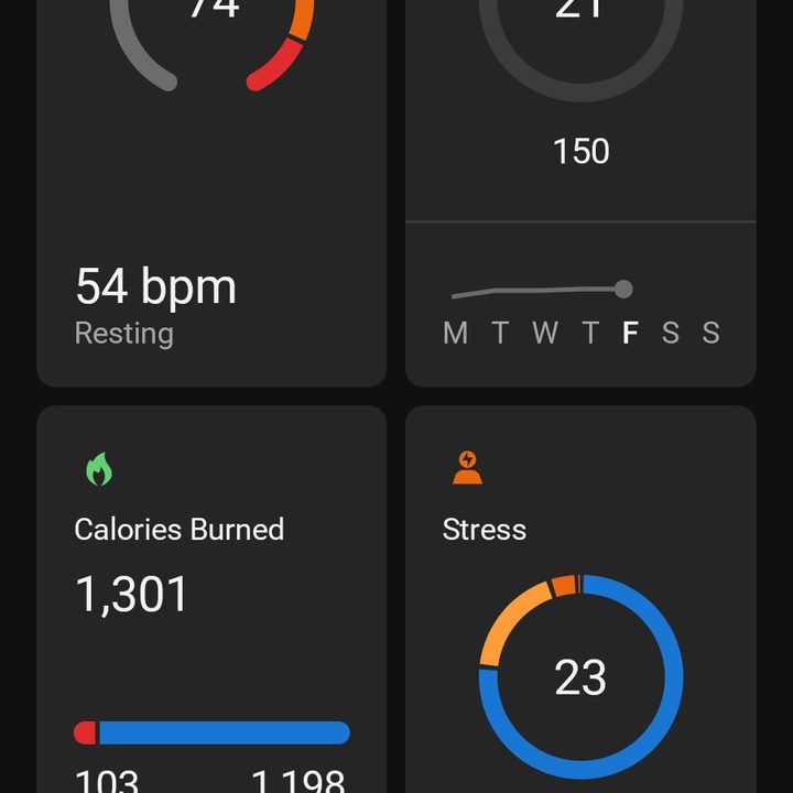 At A Glance in Garmin Connect.