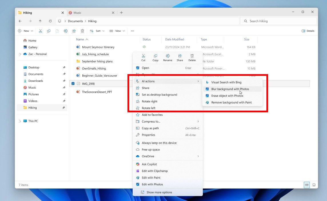 A screenshot from Windows File Explorer.