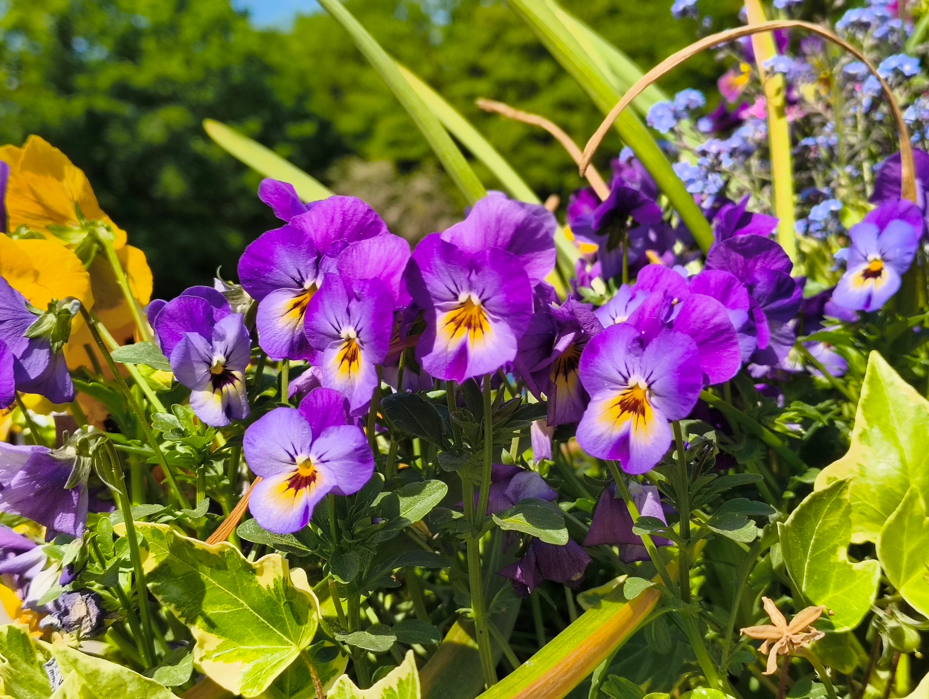 A photo taken with the CMF Phone 2 Pro.