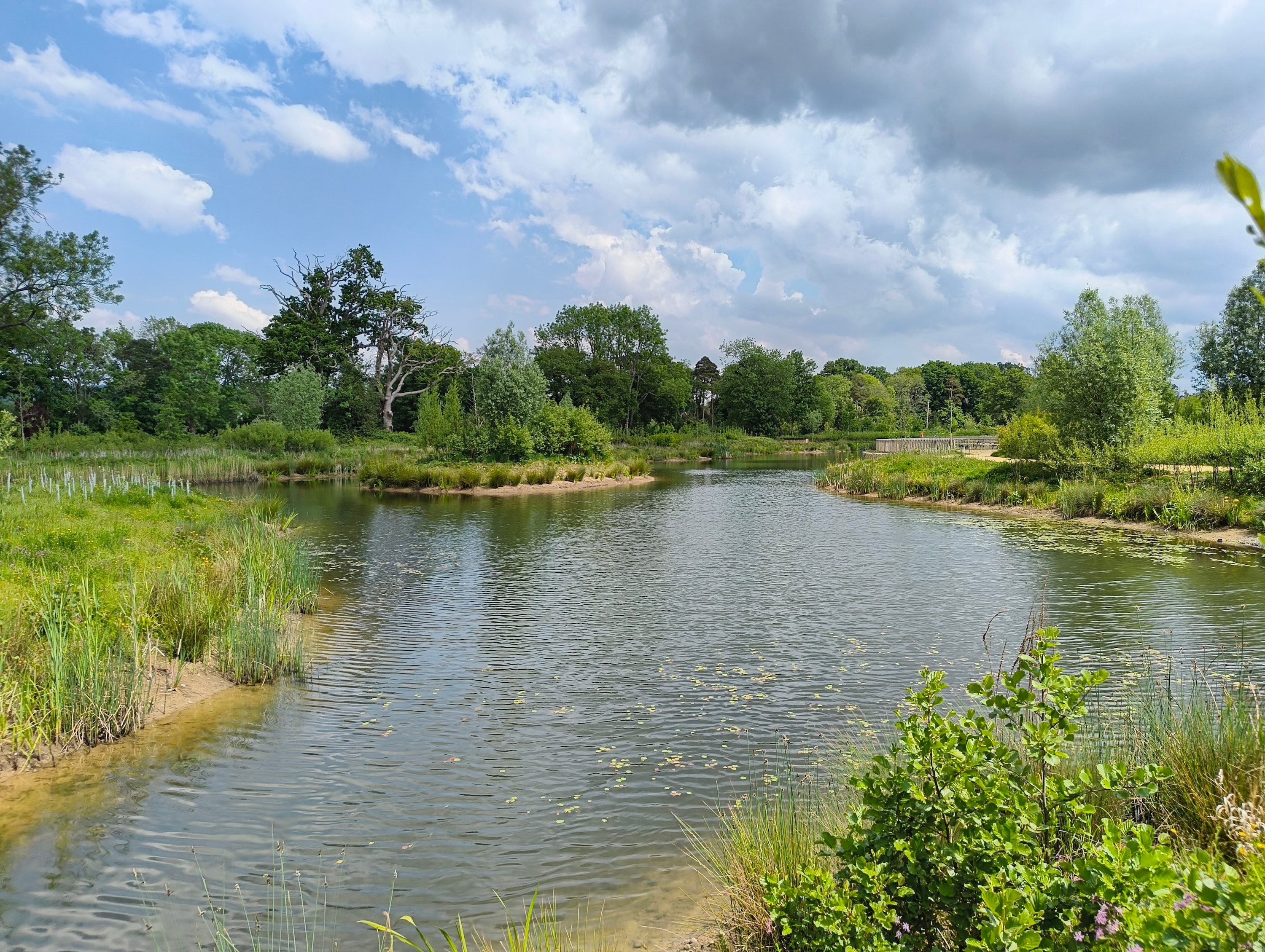 A photo taken with the CMF Phone 2 Pro.
