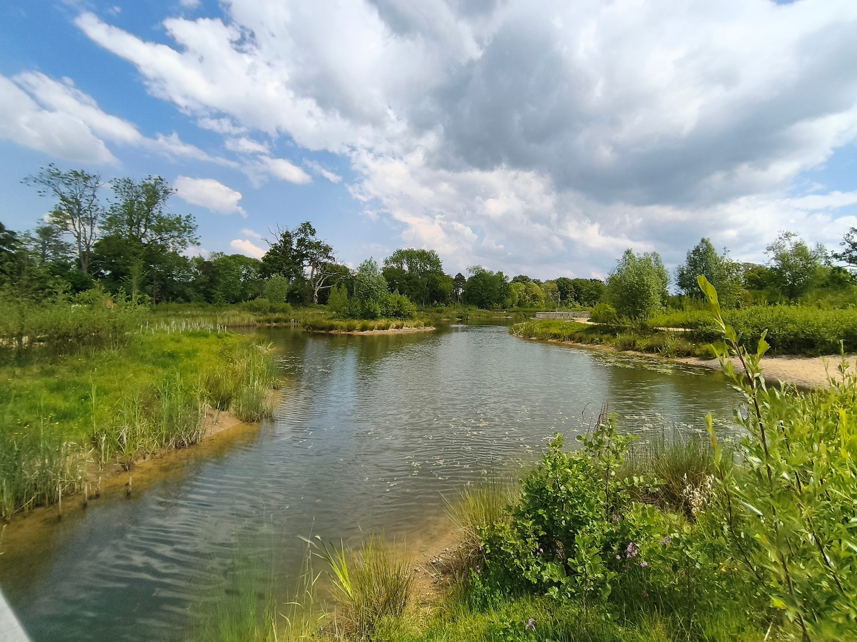 A photo taken with the CMF Phone 2 Pro's wide-angle camera.