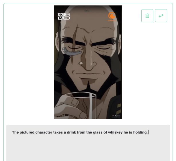 Animon.ai video generator prompt