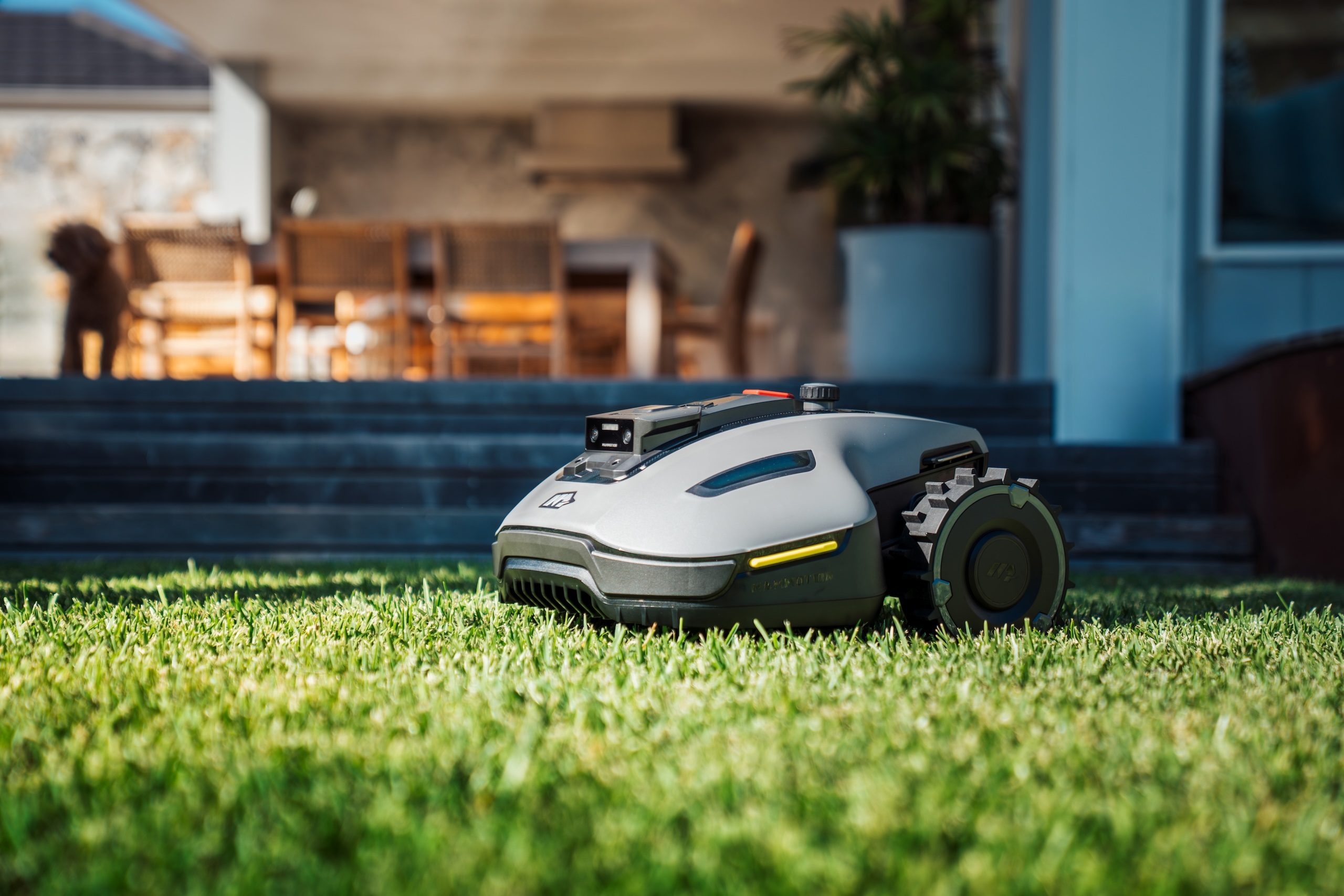 robot lawn mower cutting grass
