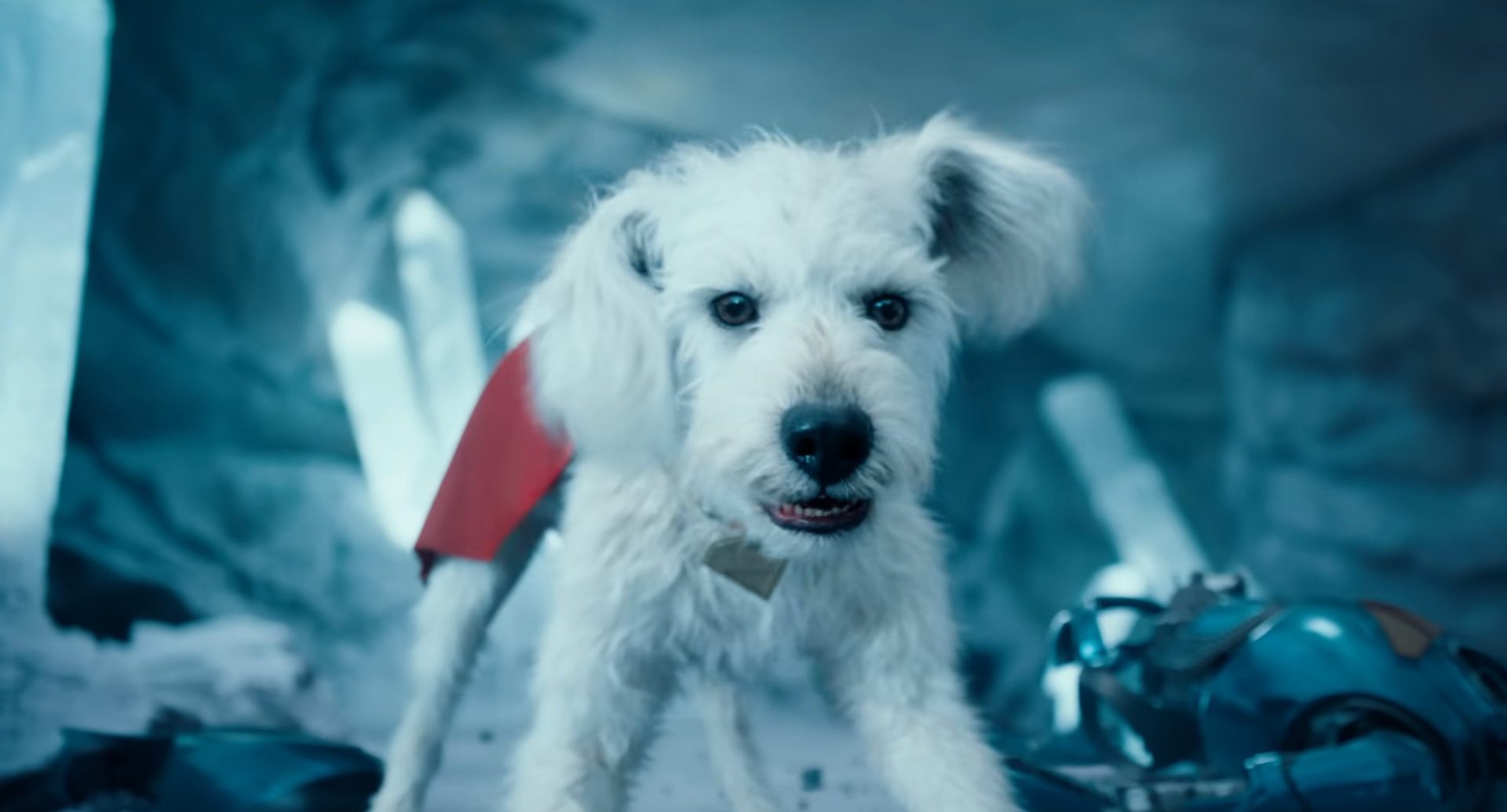 Krypto the Superdog in Superman.