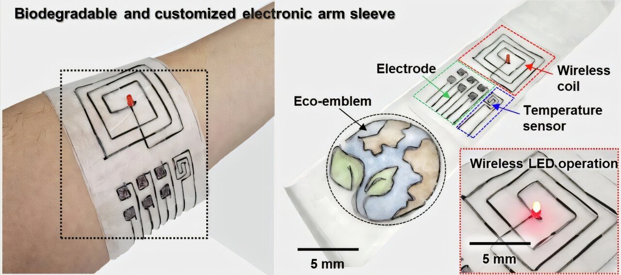 Photograph of the biodegradable arm sleeve