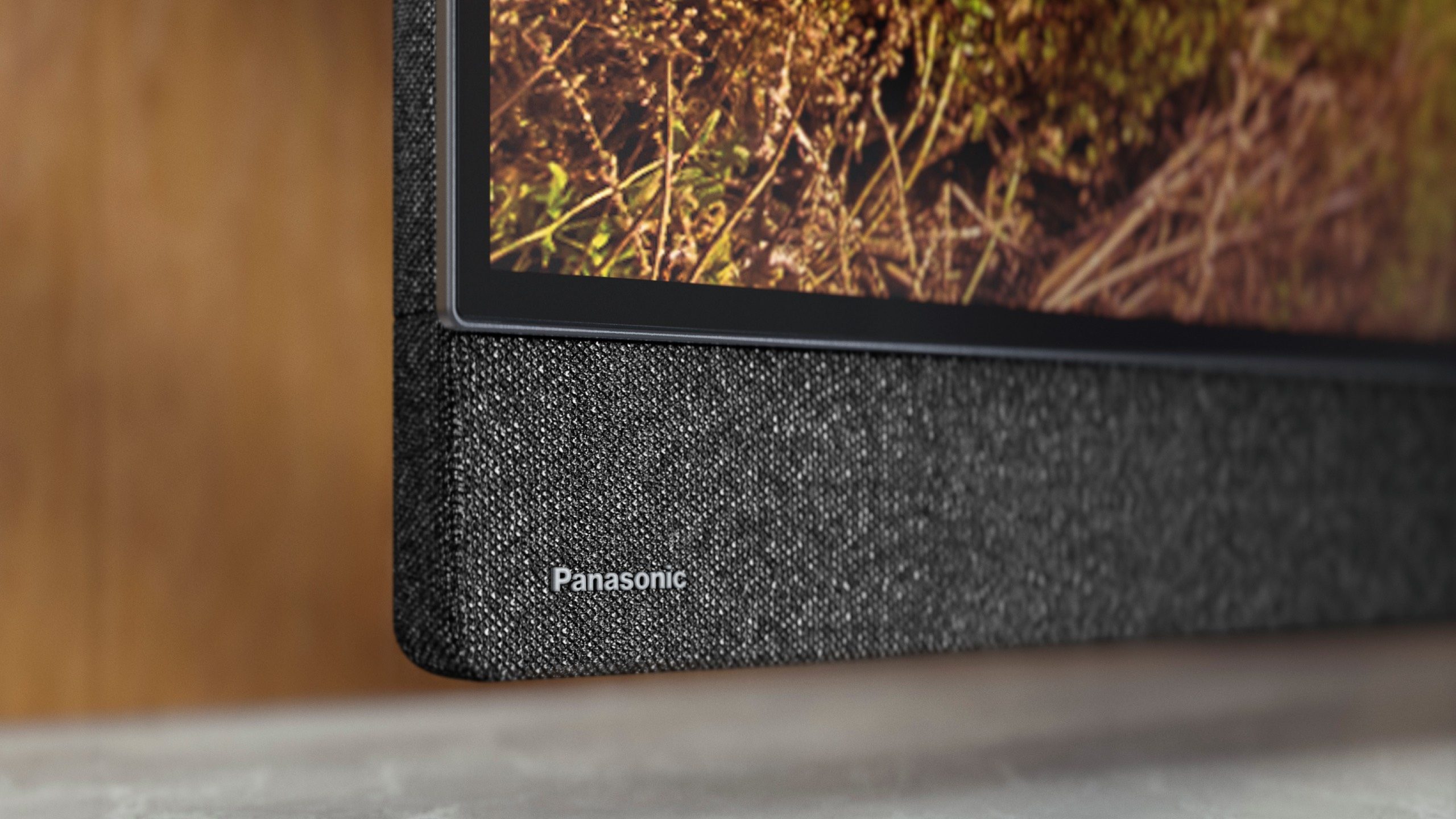 Panasonic Z85B TV speaker close up