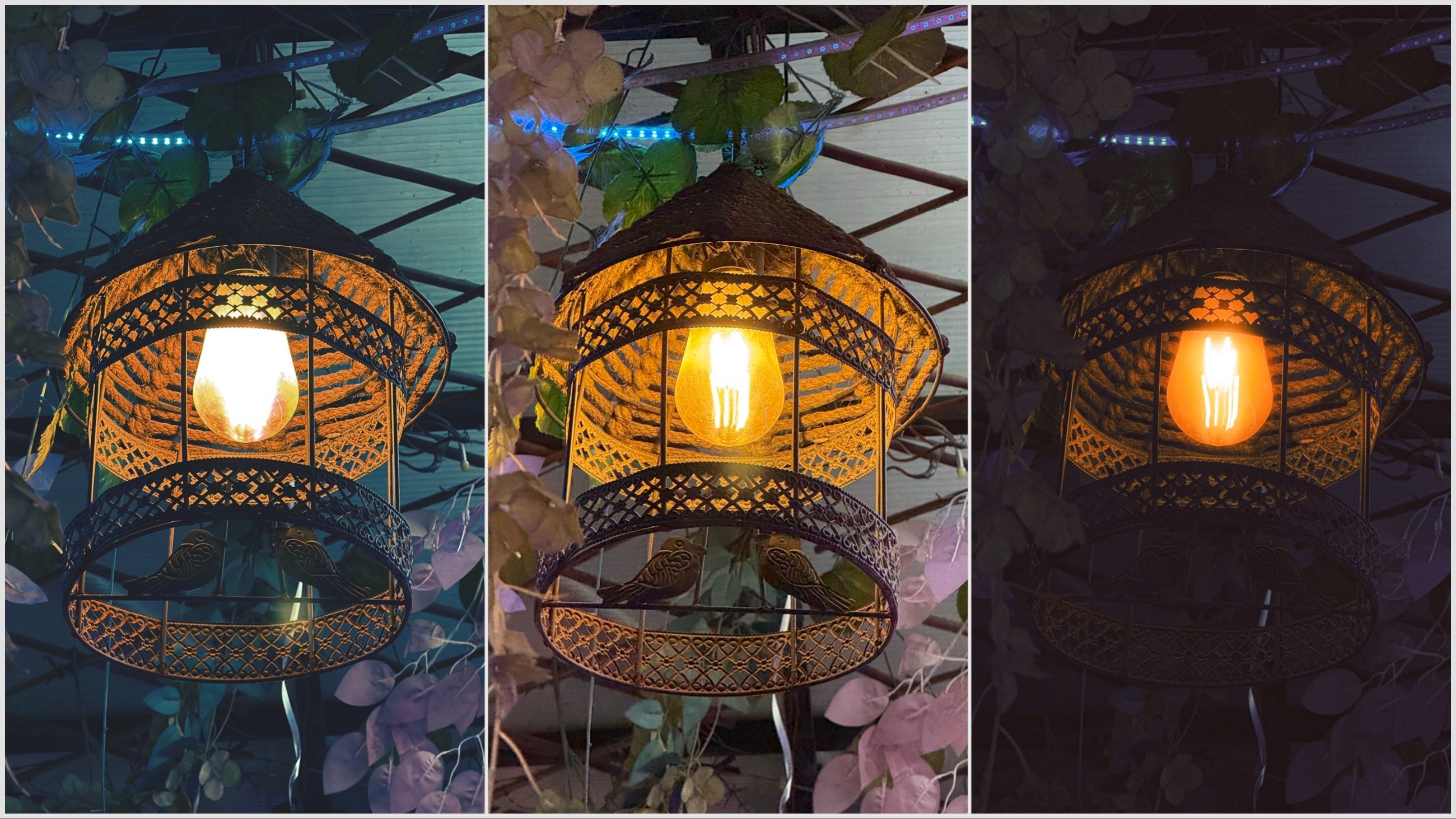 Photo comparison with VSCO capture app.