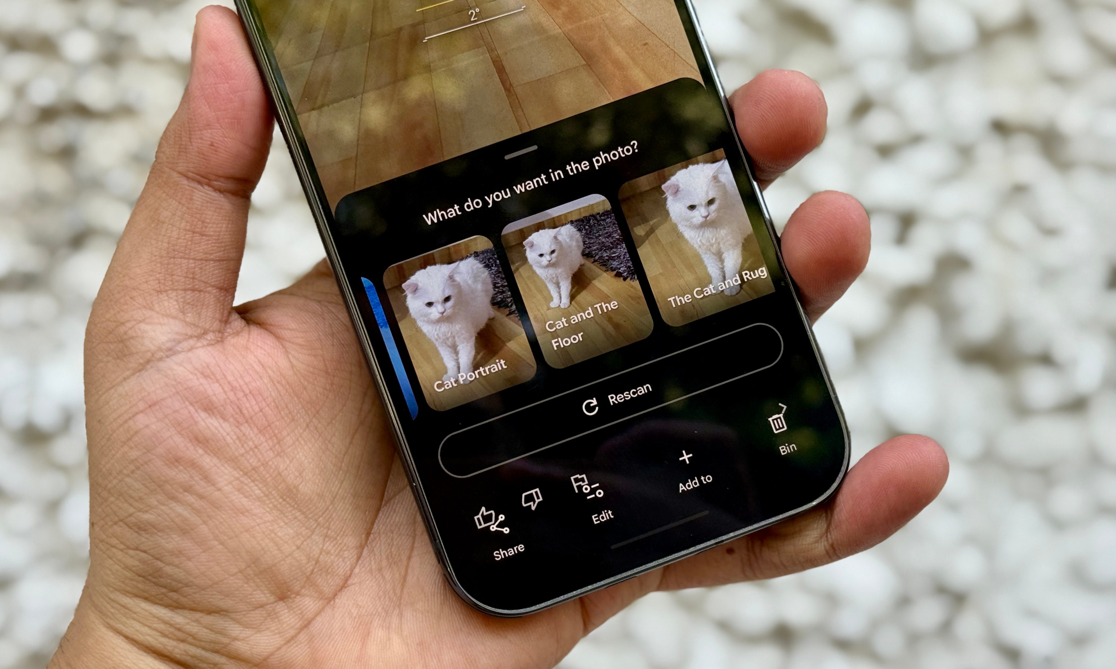 Suggestions by Camera Coach on Google Pixel 10 Pro.