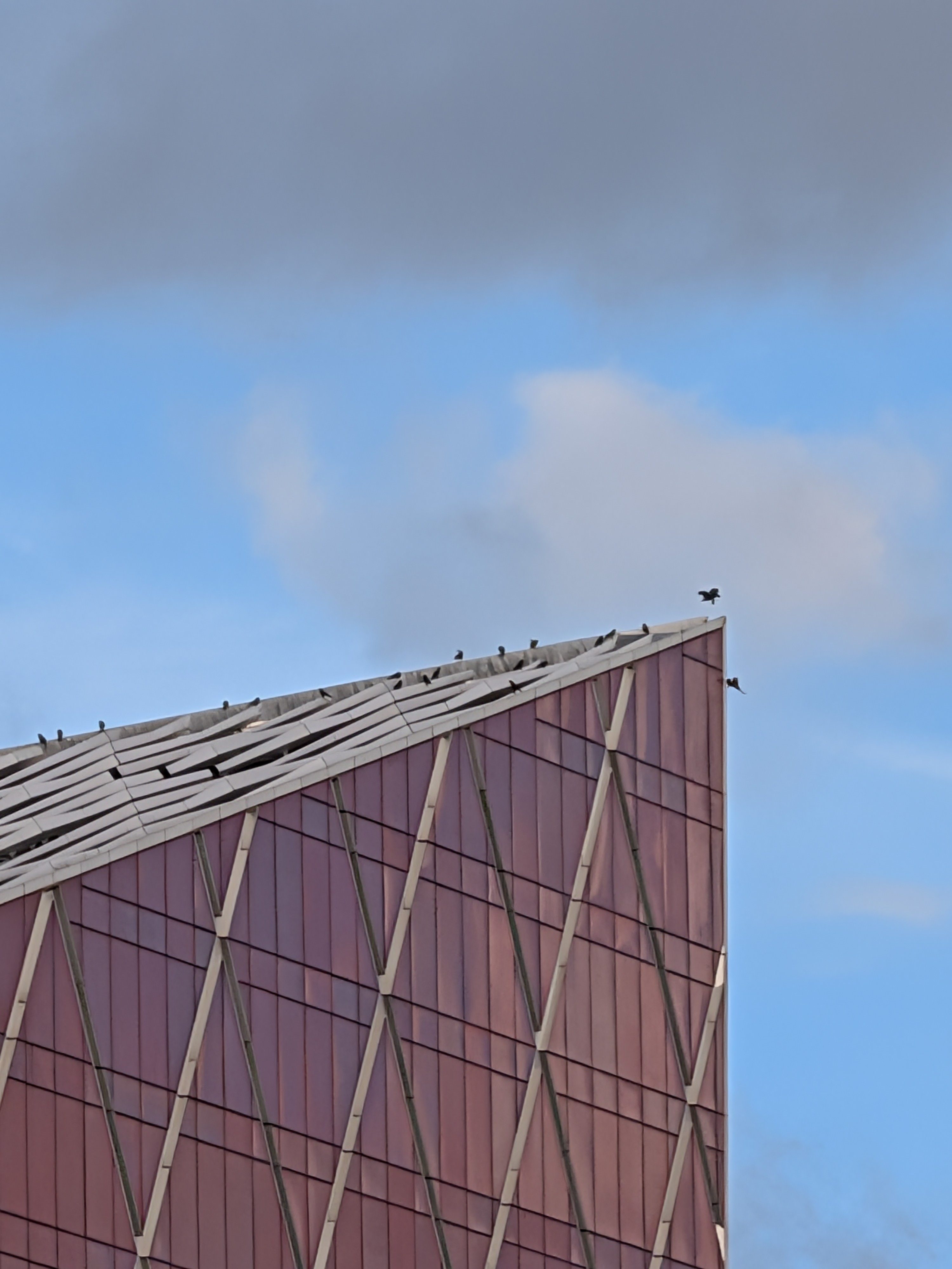 The tip of a skyscraper, with birds flying round the point