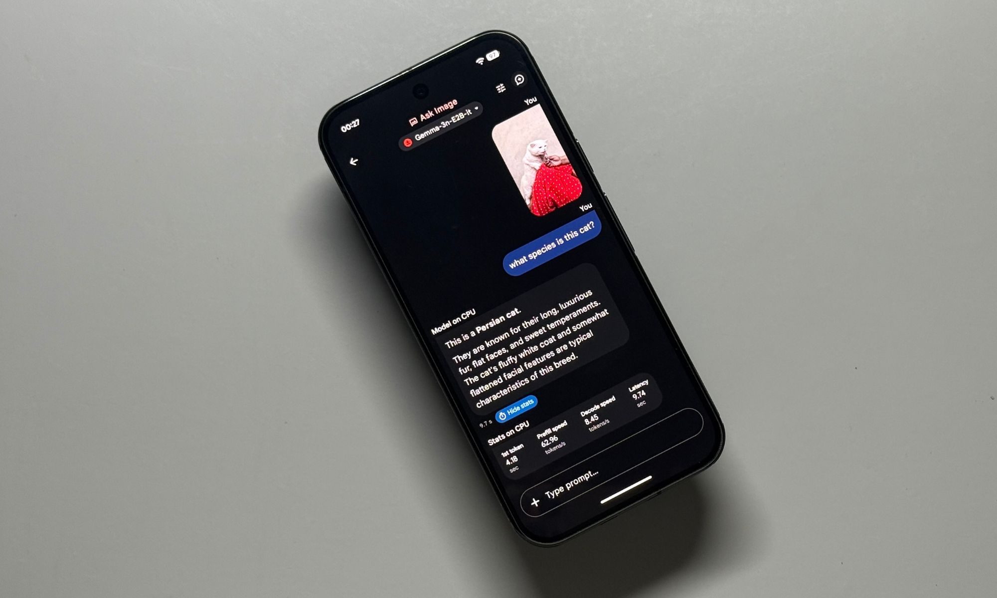 Testing out the Google AI Edge Gallery app on a shiny Pixel 10 Pro.