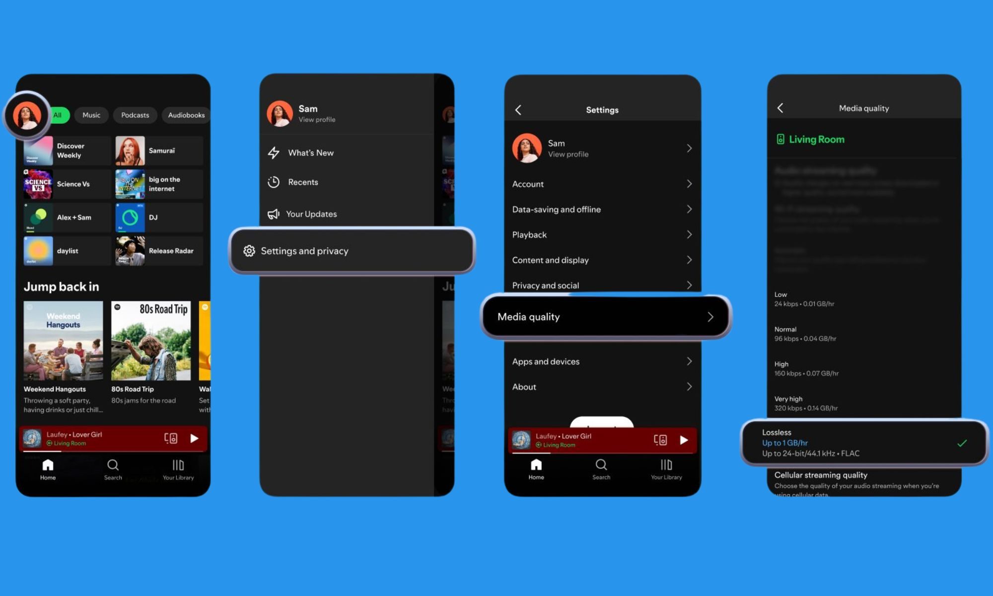 Spotify Lossless on mobile.