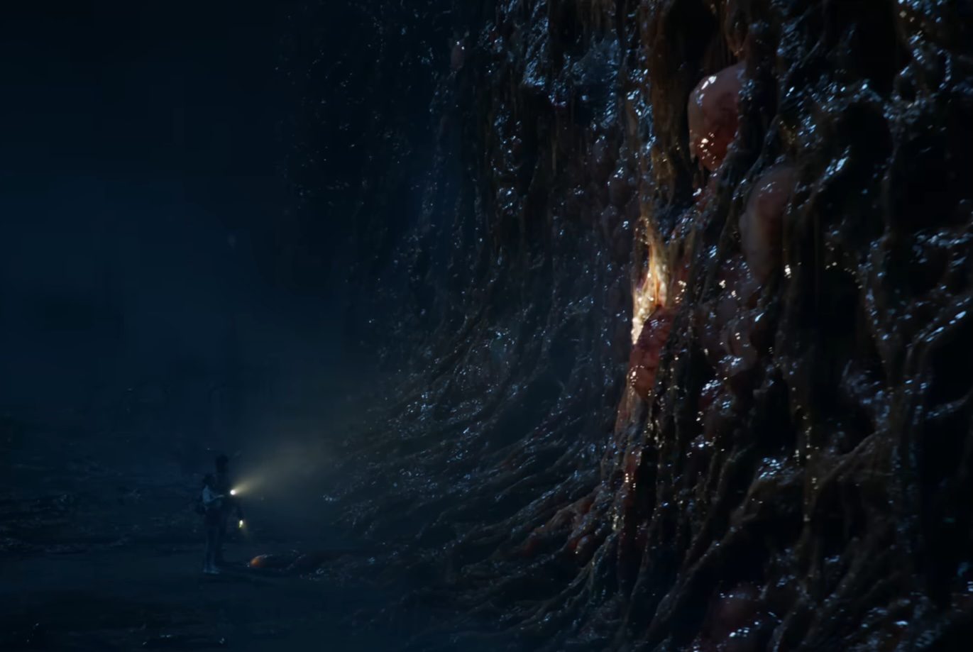 Two people shining light onto a giant, fleshy wall in the Upside Down in Stranger Things.