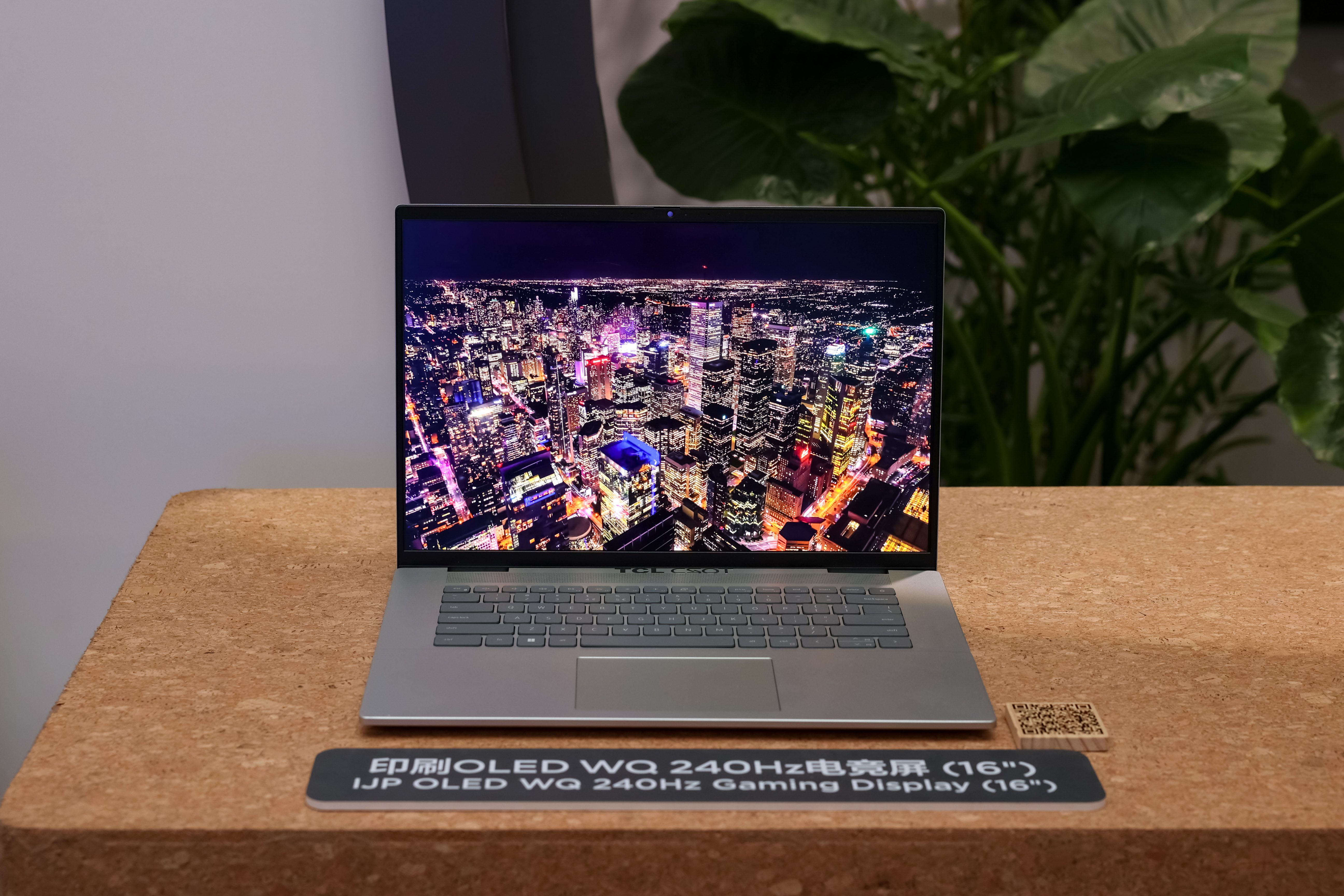 IJP OLED WQ 240Hz Gaming Display (16")