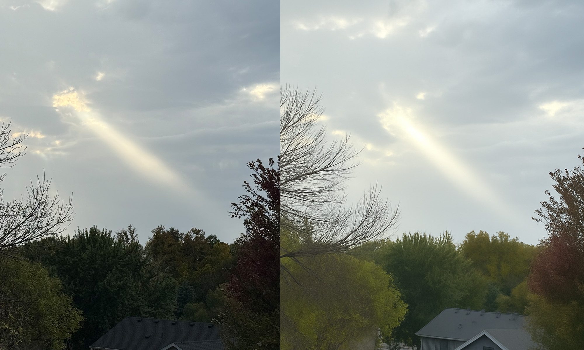 Beam of light by trees