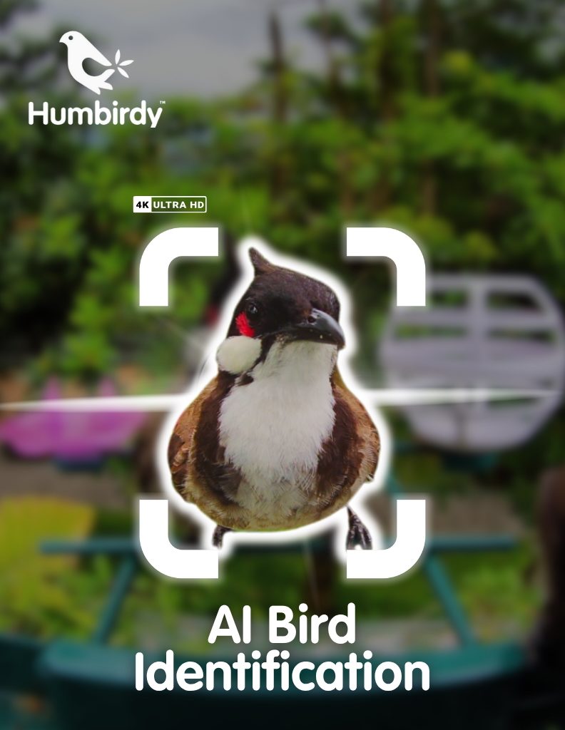 ai bird identifier image