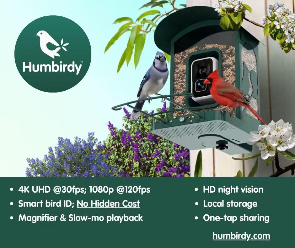 Humbirdy cgi with features listed