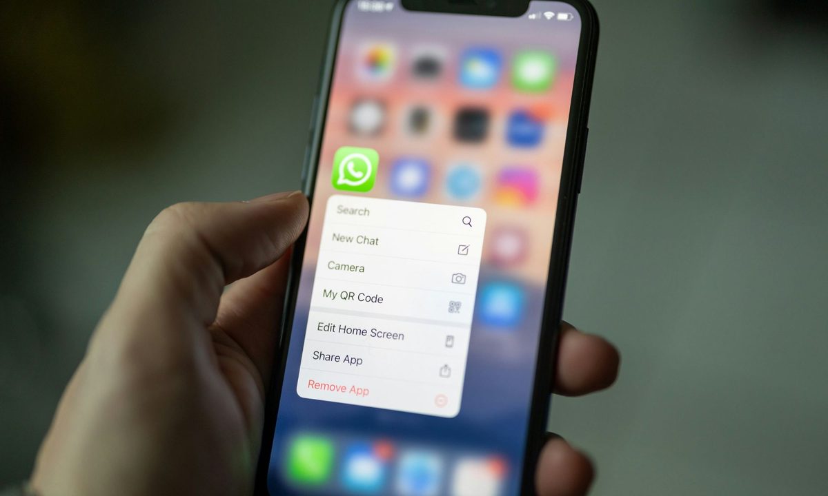 whatsapp-cutom-member-tag-feature