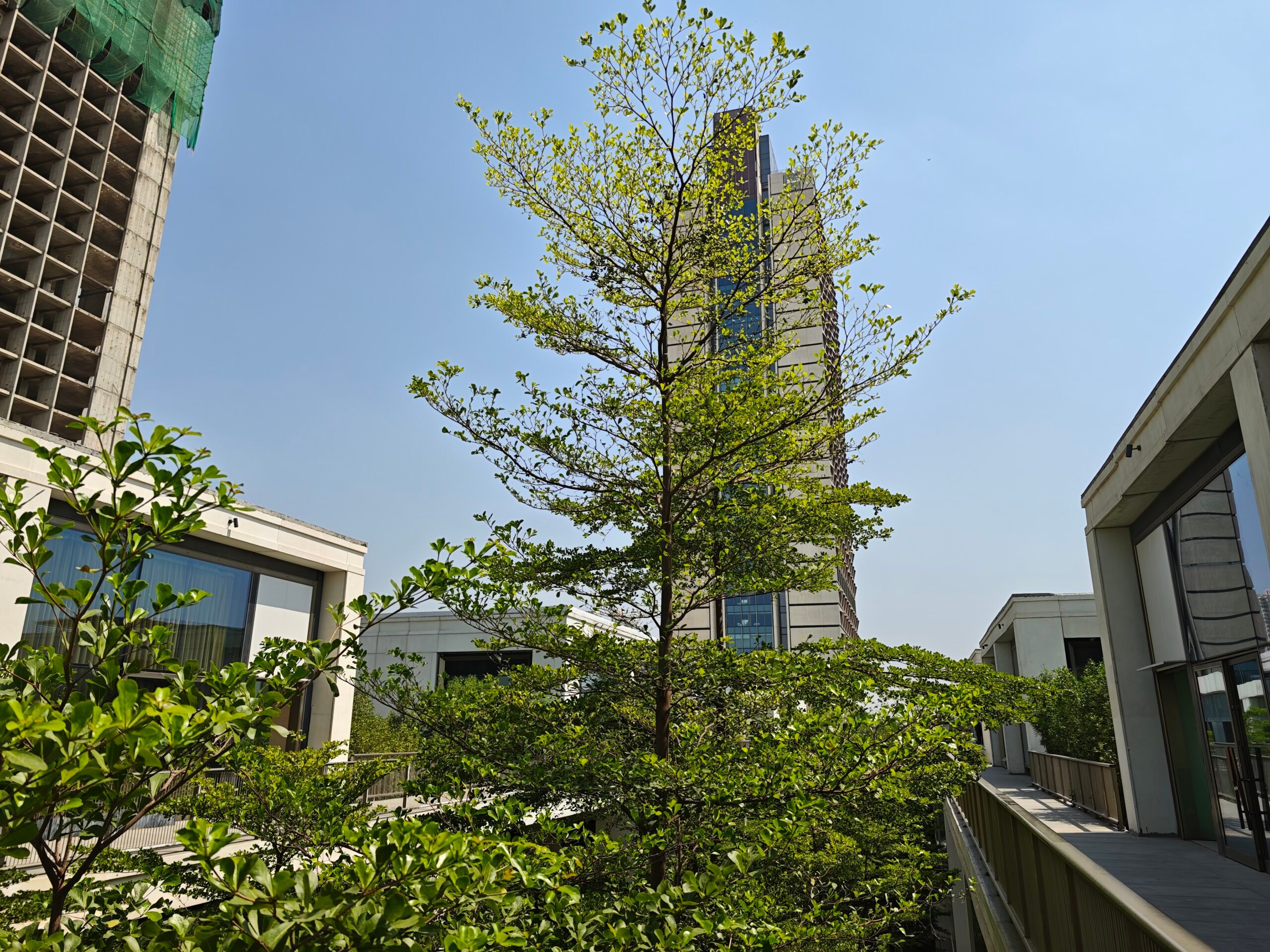 HDR (1) - Xiaomi 17 Ultra Camera Review