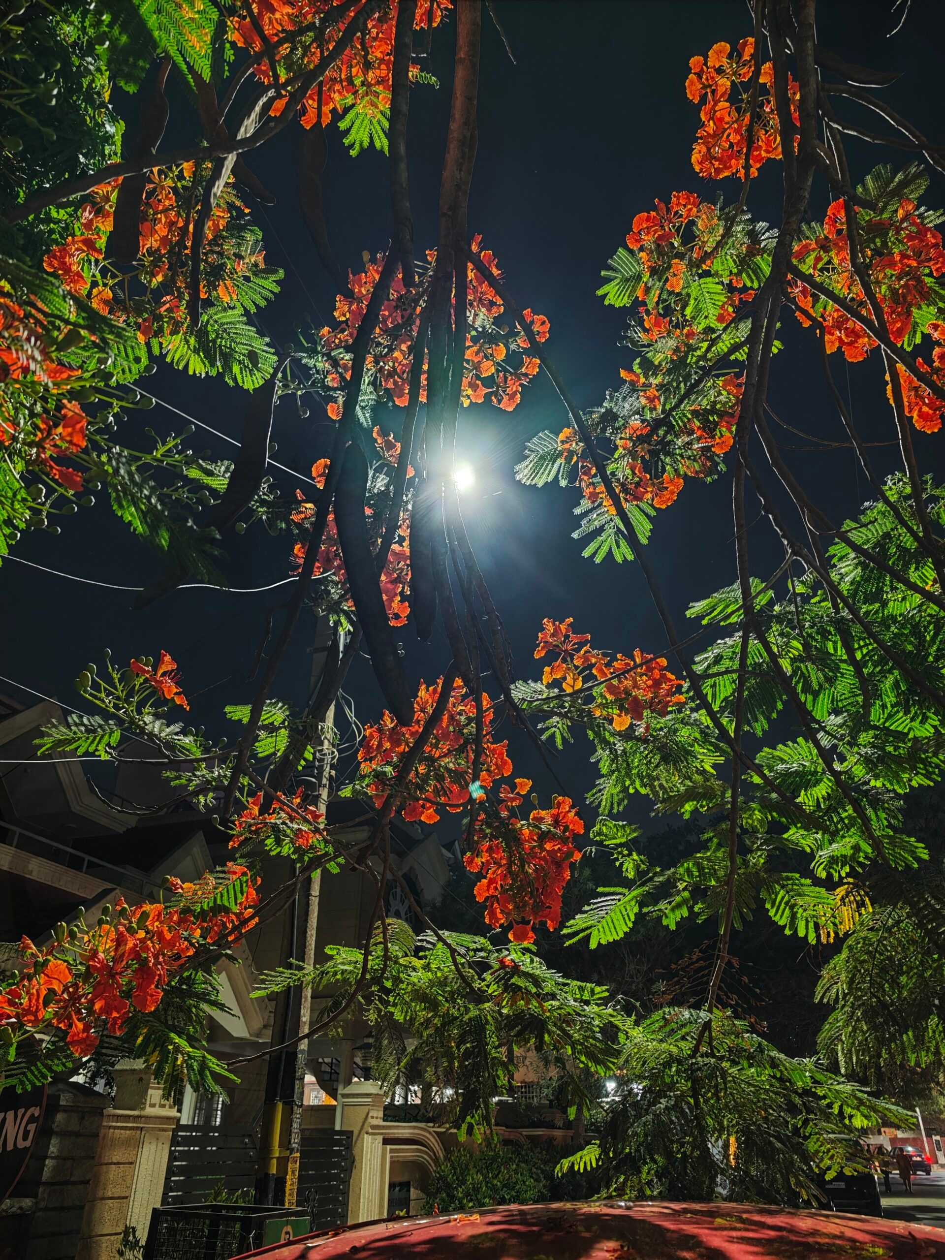 Lowlight (6) - Xiaomi 17 Ultra Camera Review