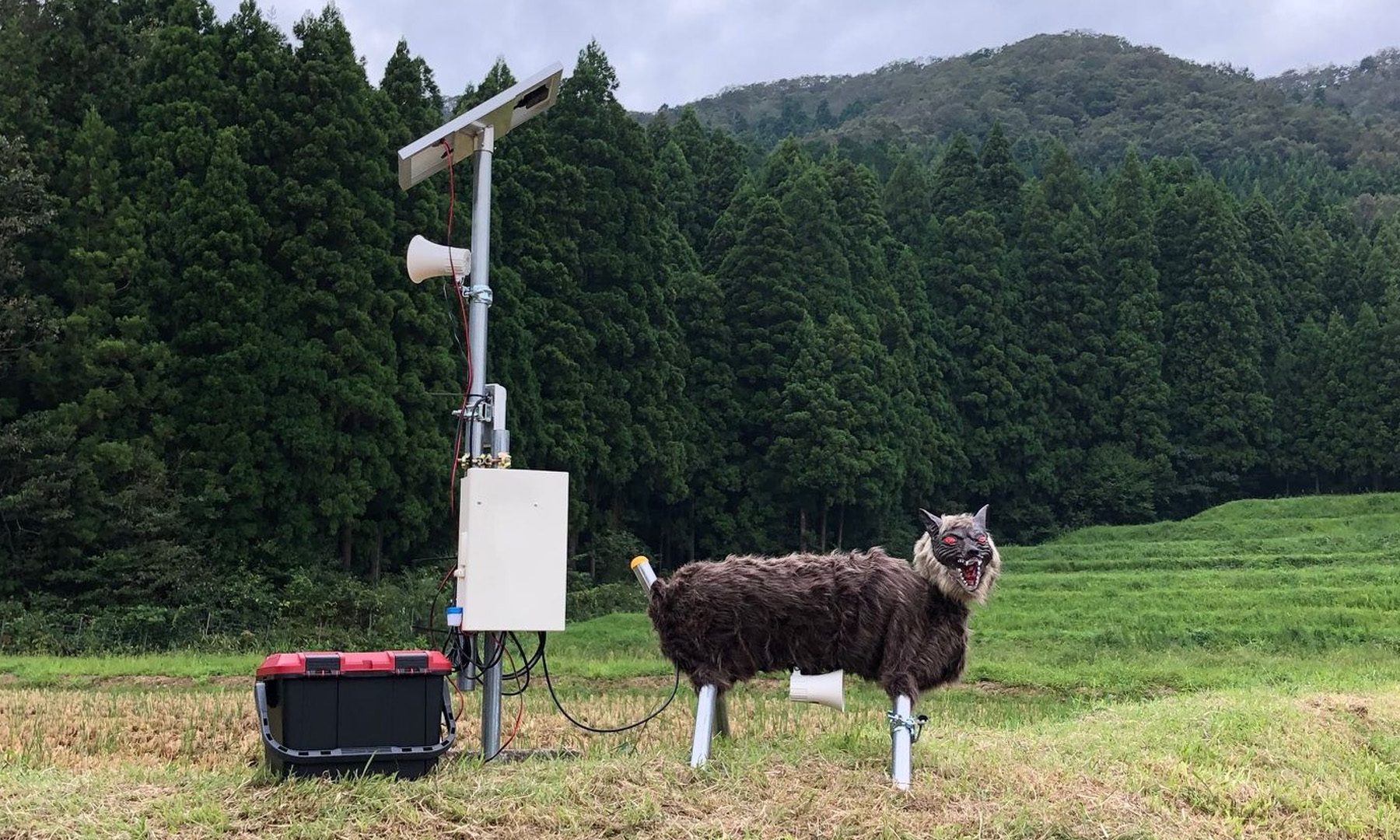 Monster Wolf Robot in Japan Banner