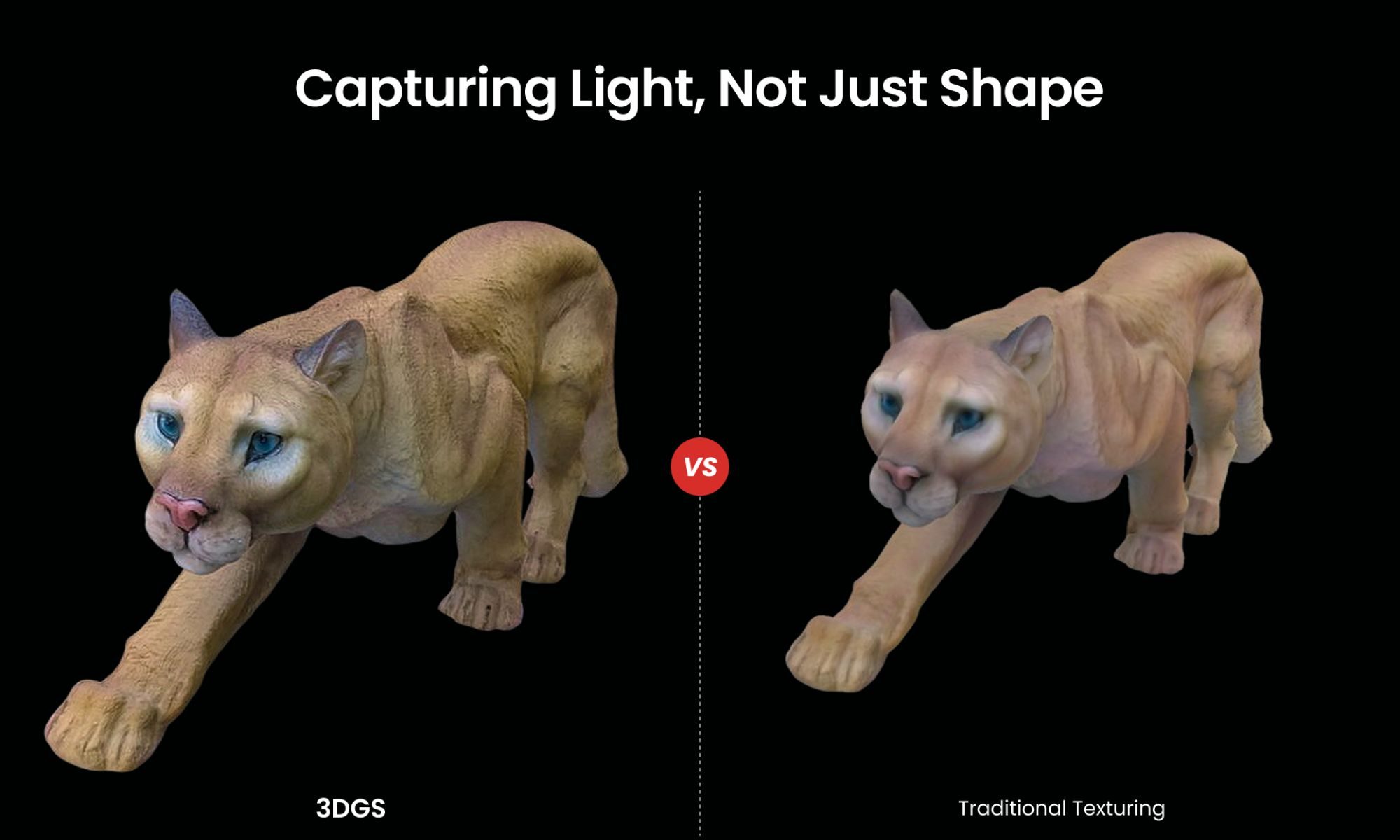 Animal, Lion, Mammal