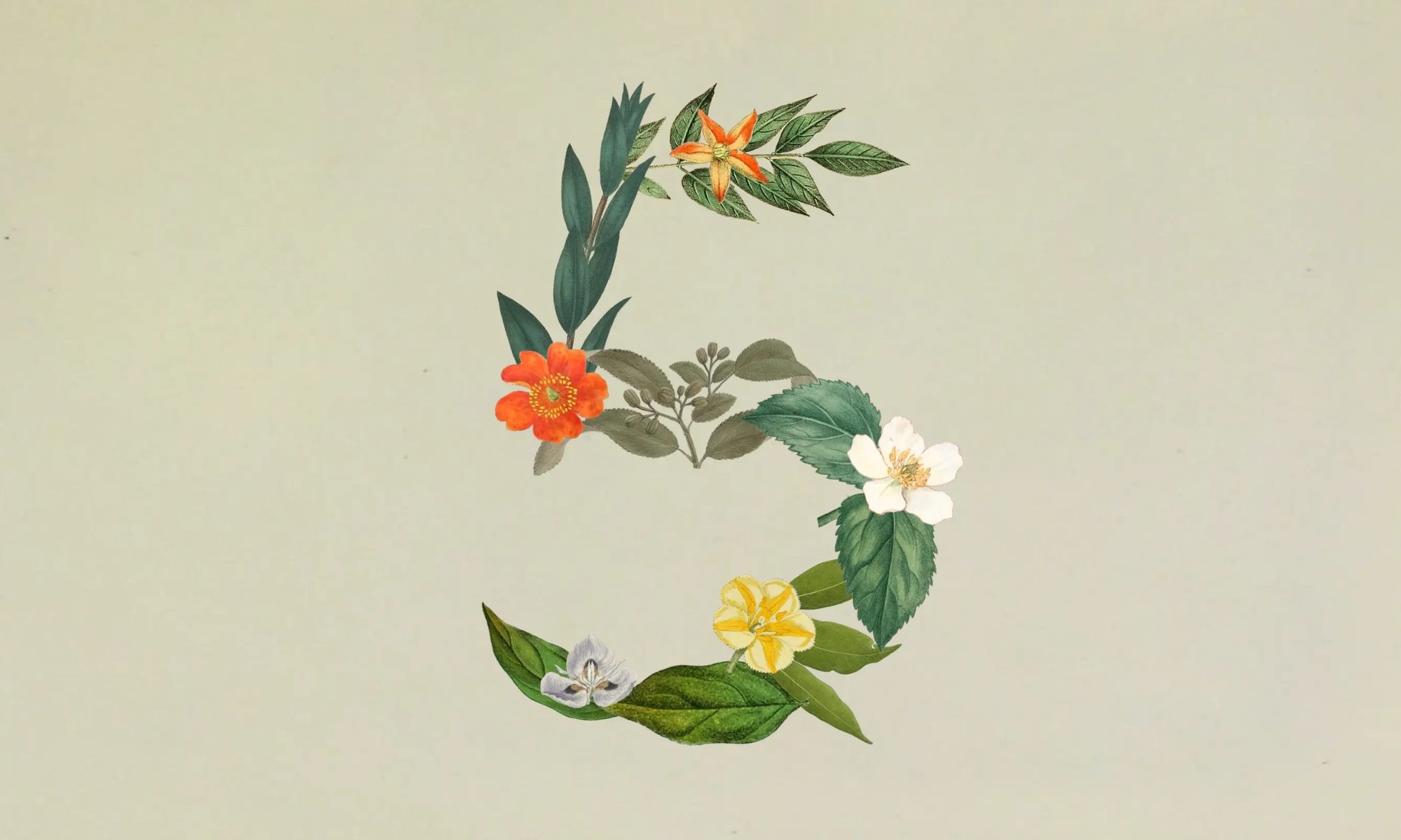 Art, Floral Design, Graphics