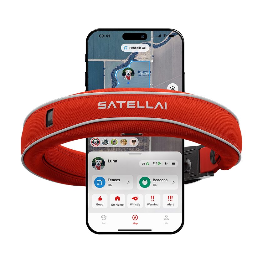 SATELLAI Collar