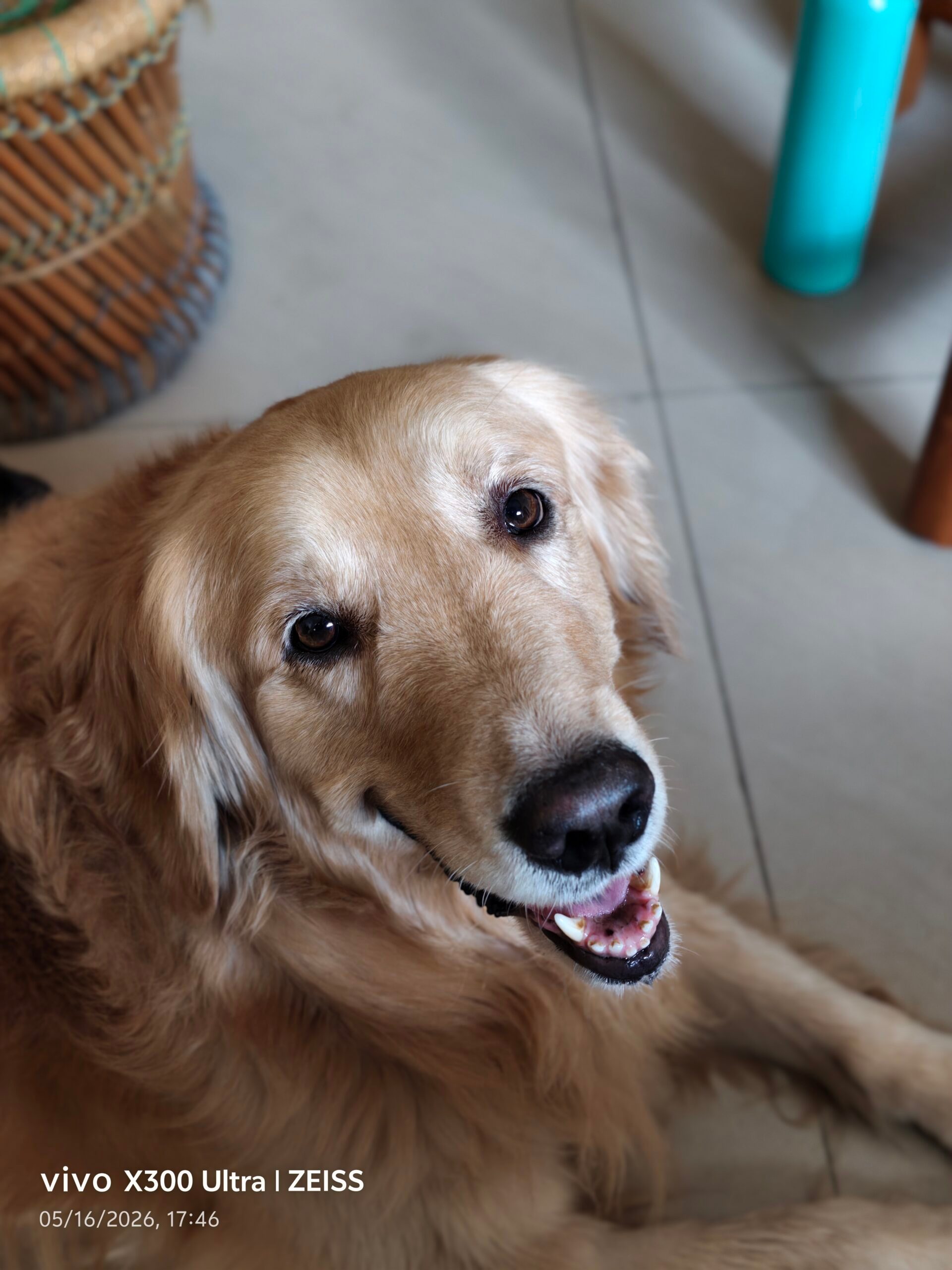 Vivo X300 Ultra Camera Samples (Shot on Portrait Mode)
