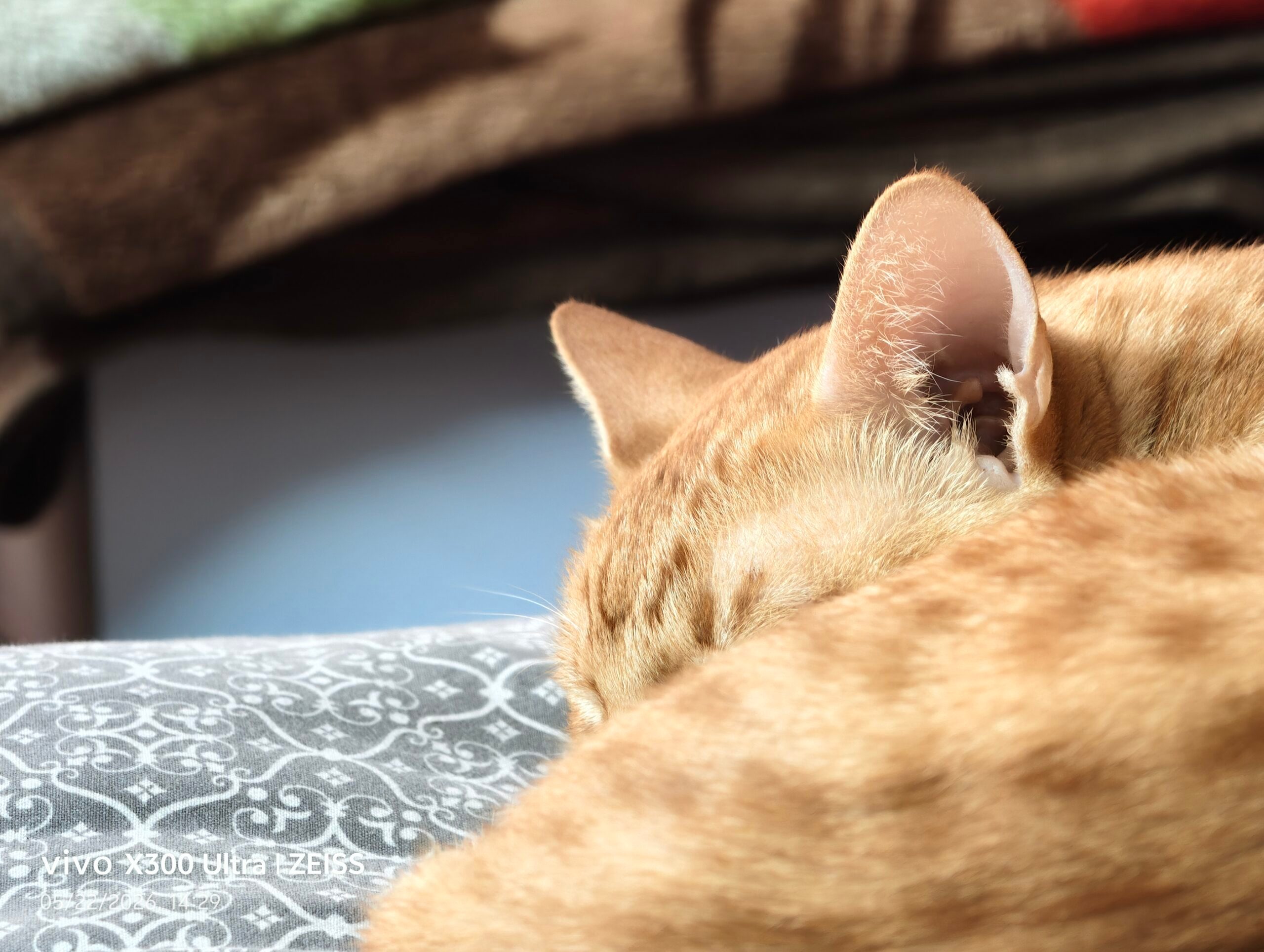 Vivo X300 Ultra Camera Samples