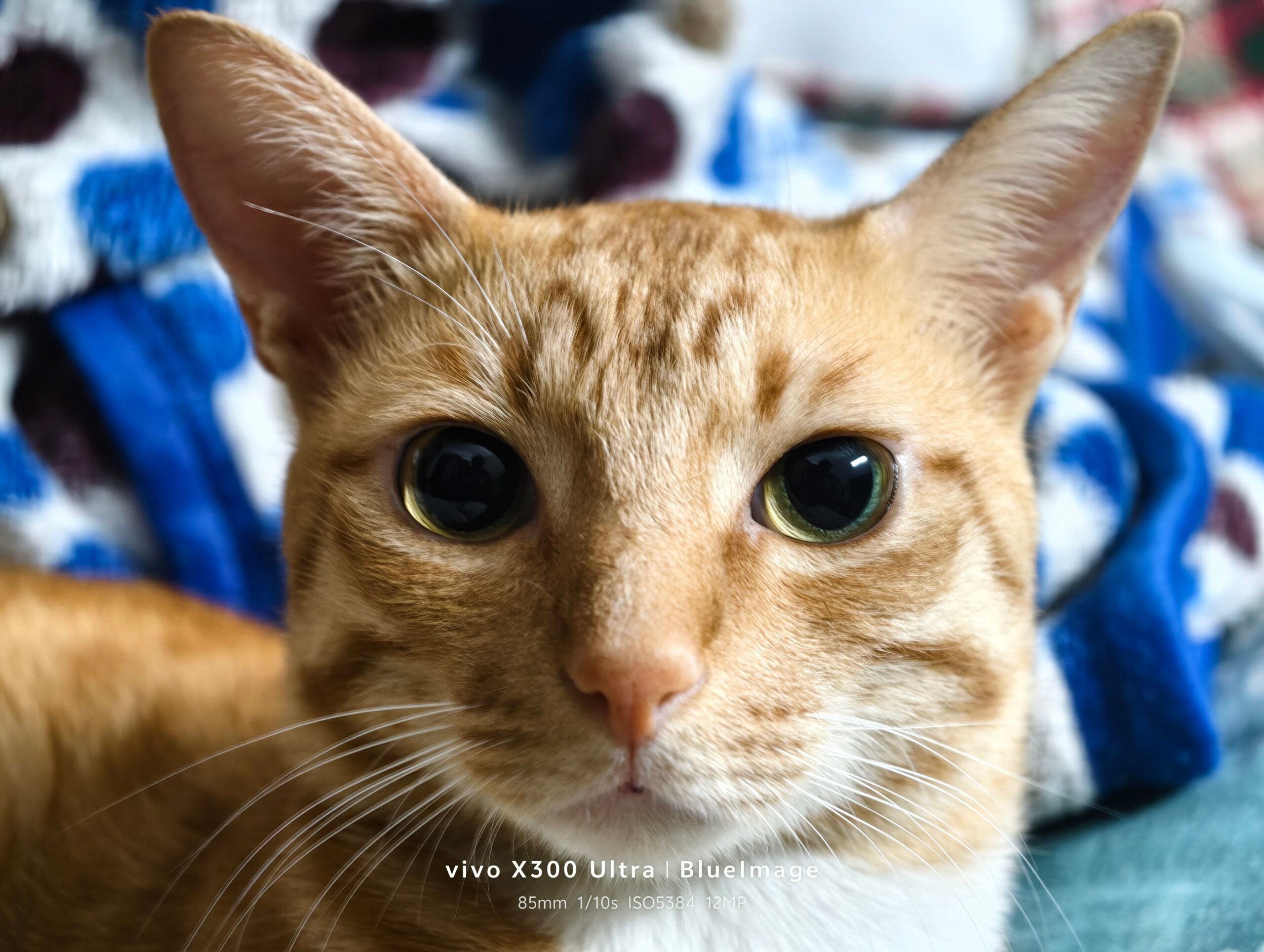 Vivo X300 Ultra Camera Samples