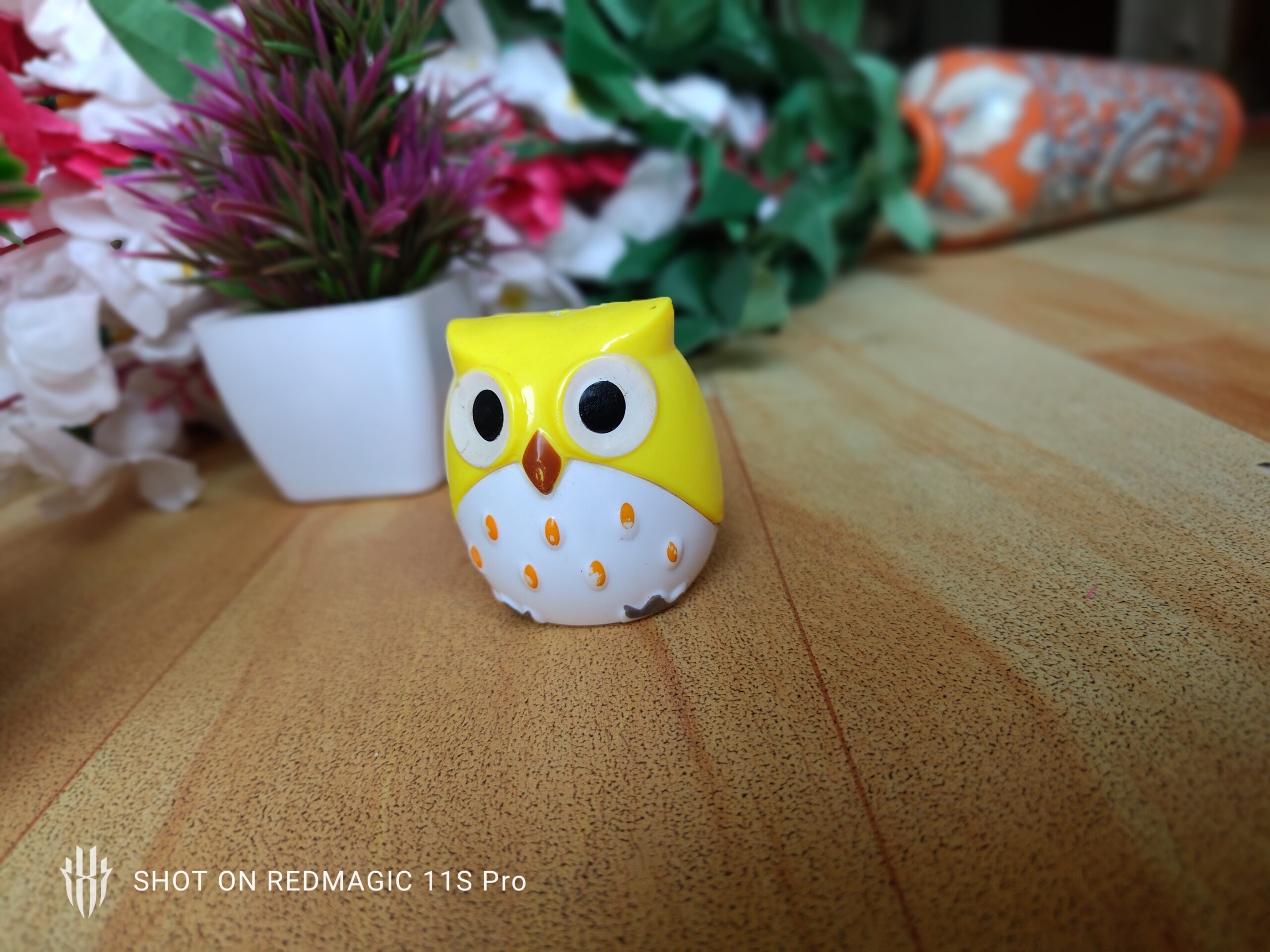 Plant, Potted Plant, Pottery