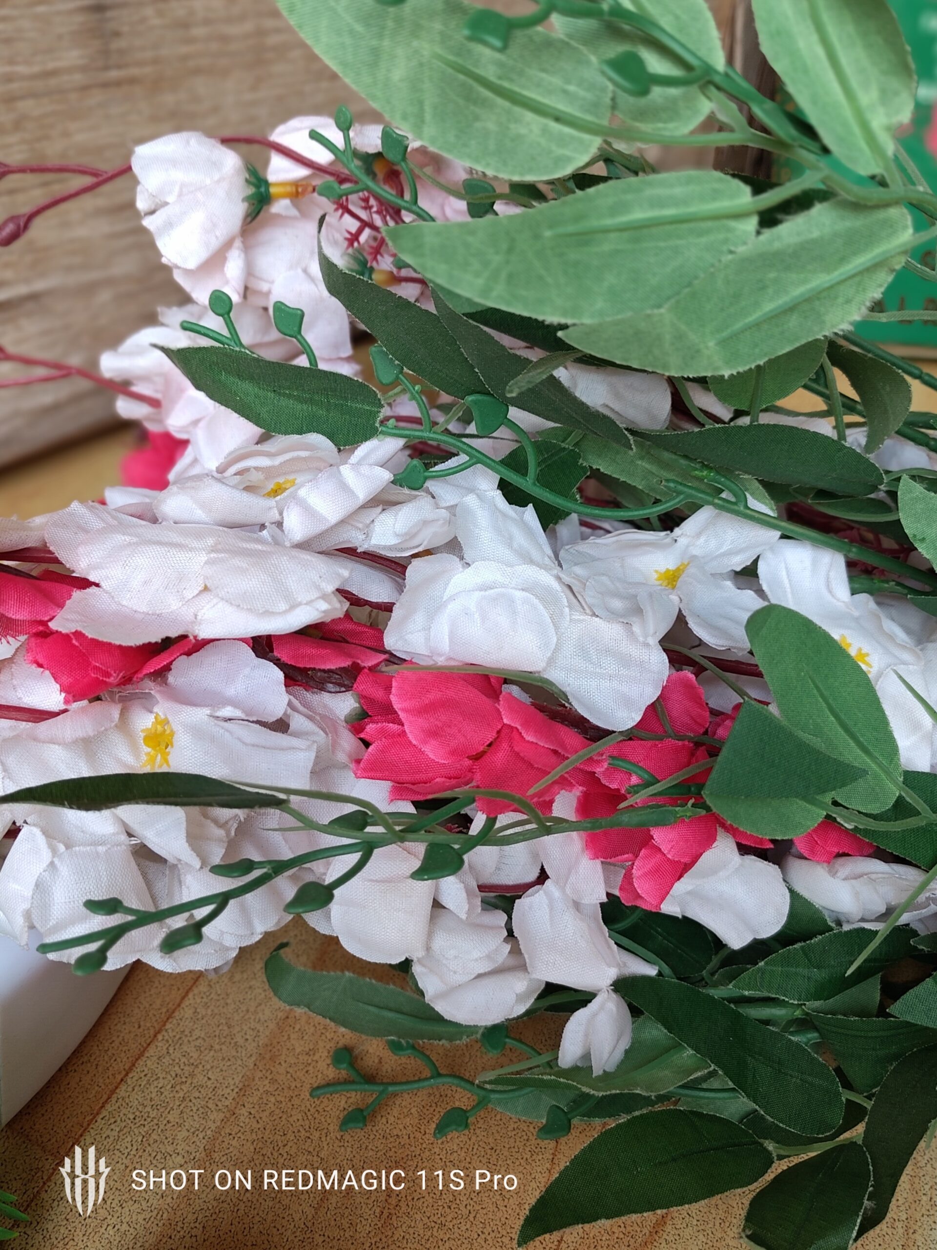 Flower, Petal, Plant