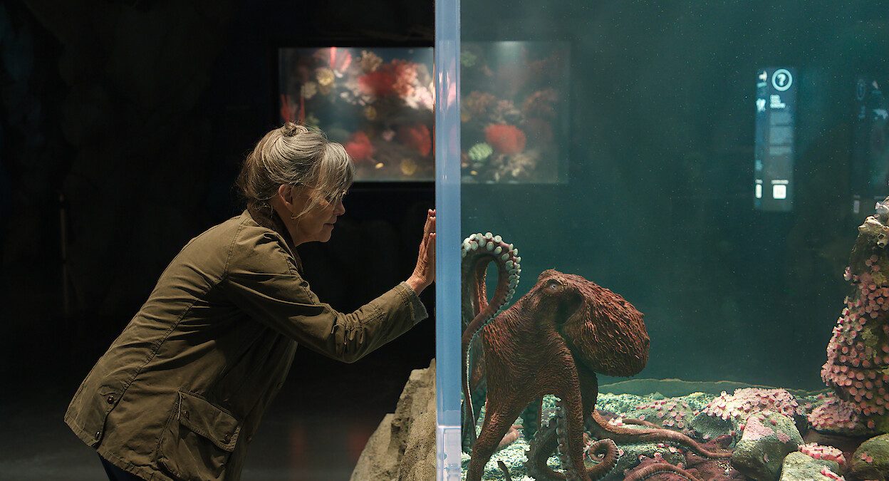 Remarkably-Bright-Creatures-best-movies-on-netflix
