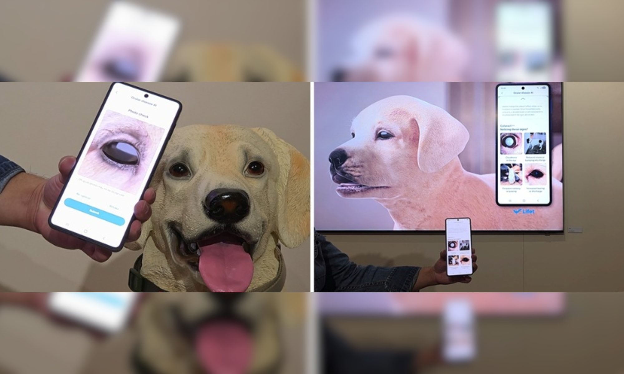 Recurso Samsung Pet Health.
