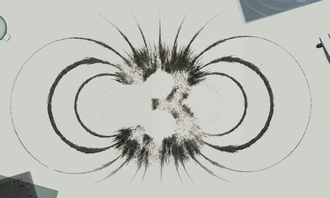 Art, Drawing, Plant