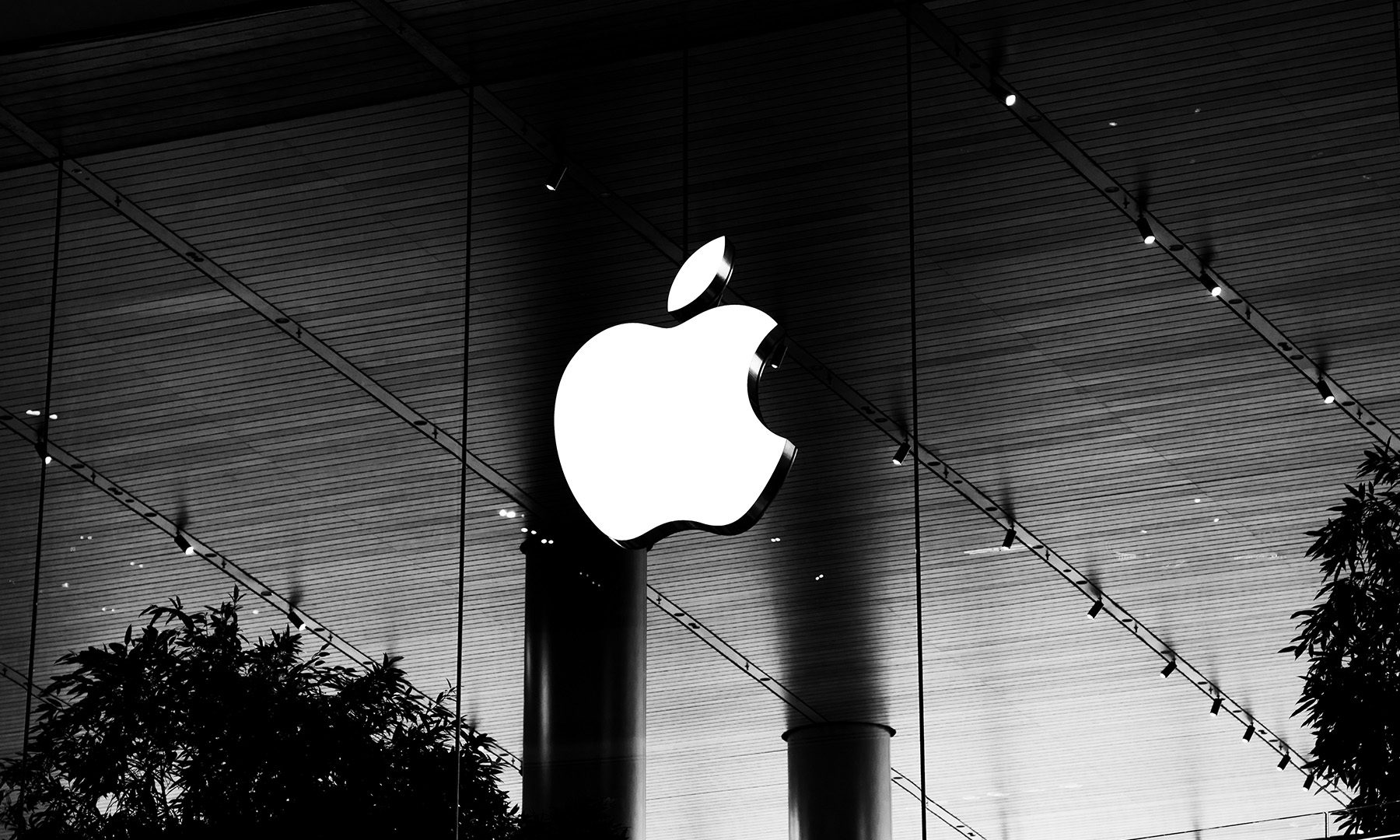 Apple store Apple Building Apple Logo