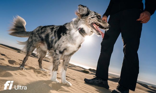 Fi Ultra dog tracker