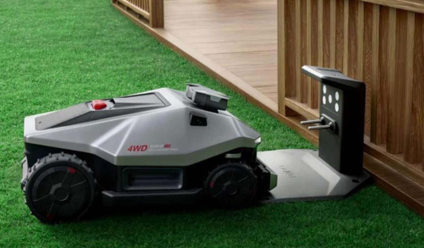 Grass, Lawn, Plant