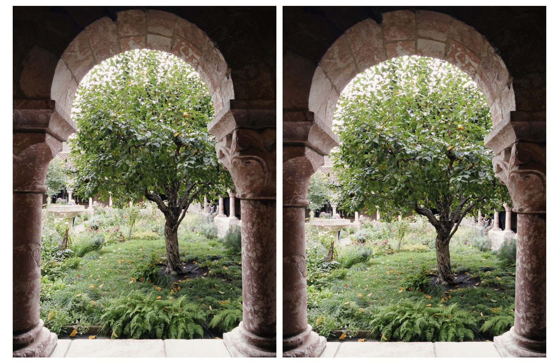 Halide Perspective Correction