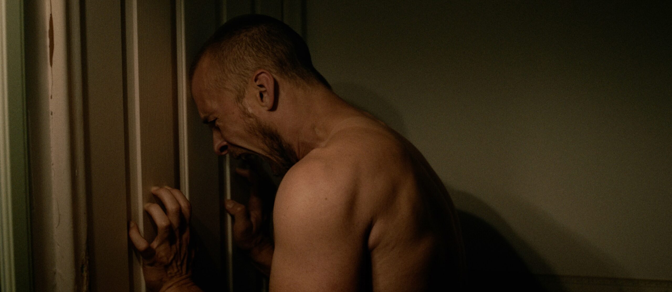 Lou Taylor Pucci screaming a clawing at a door in the horror film, Lockbox.