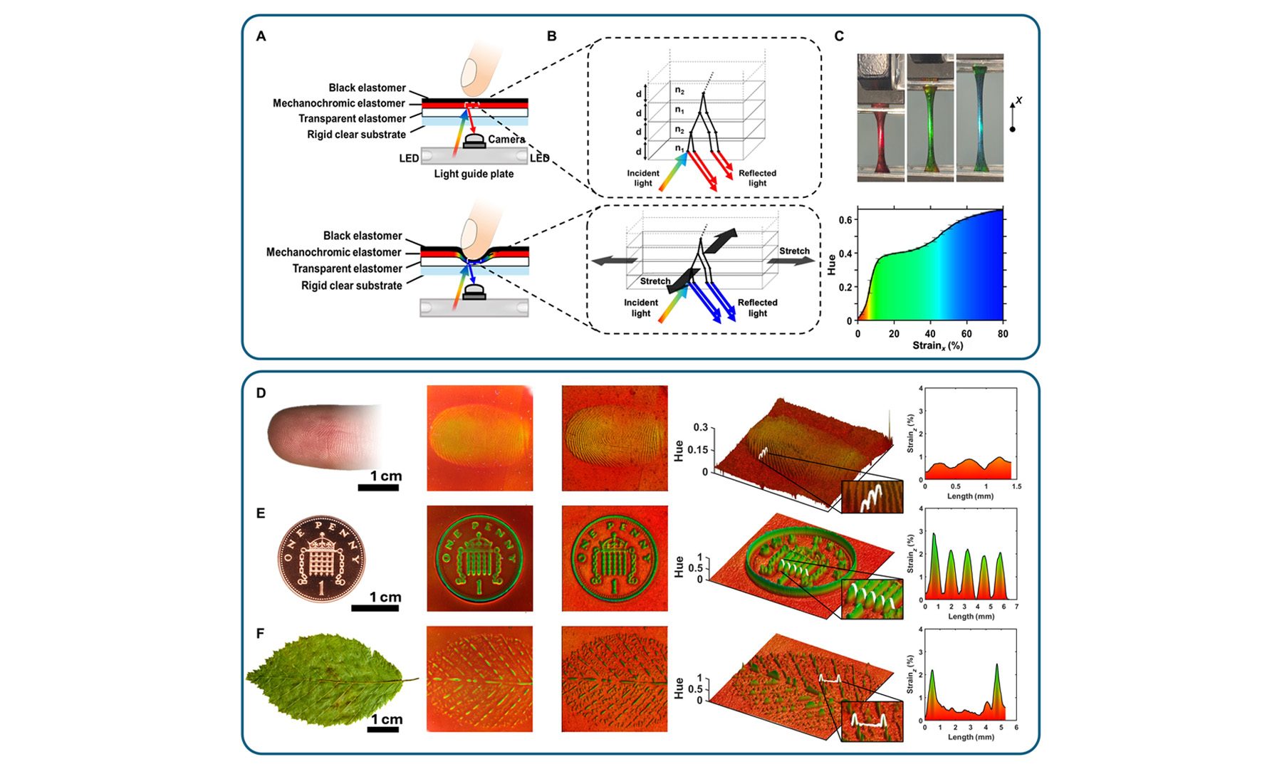 Mechanochromic tactile sensor Structure, working principle, and examples of contact morphology maps